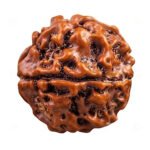 Ek Mukhi Rudraksha(Gole Daana)